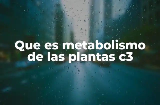 Que es Metabolismo de las Plantas C3