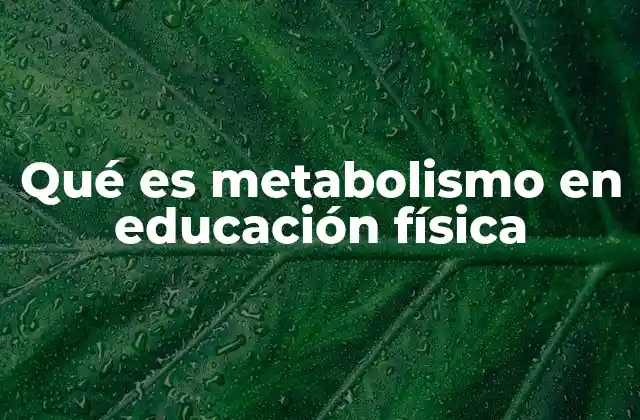 Qué es Metabolismo en Educación Física