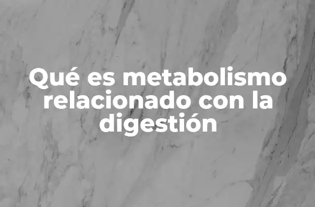 Qué es Metabolismo Relacionado con la Digestión