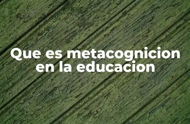 Que es Metacognicion en la Educacion
