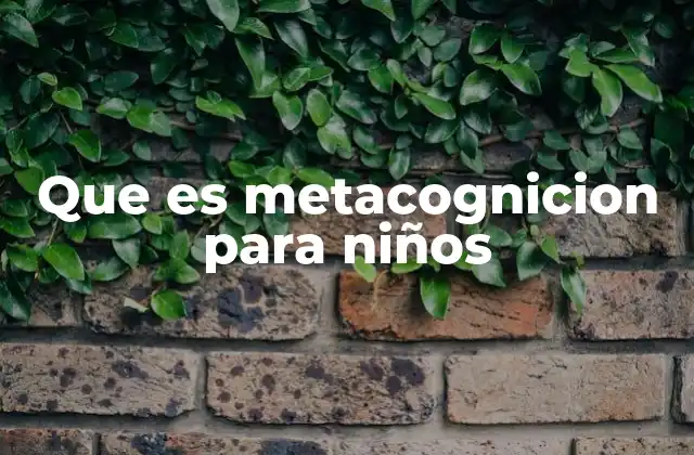Que es Metacognicion para Niños