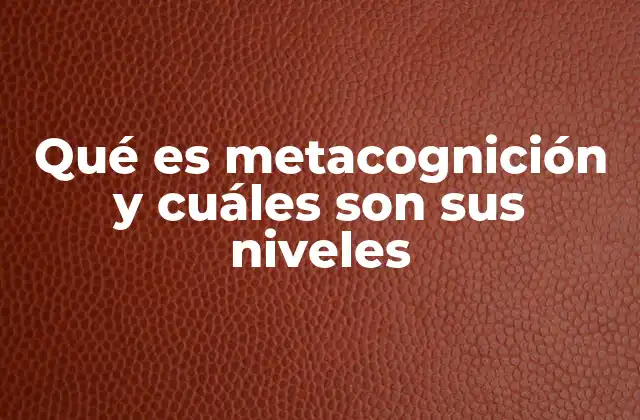 Qué es Metacognición y Cuáles Son Sus Niveles