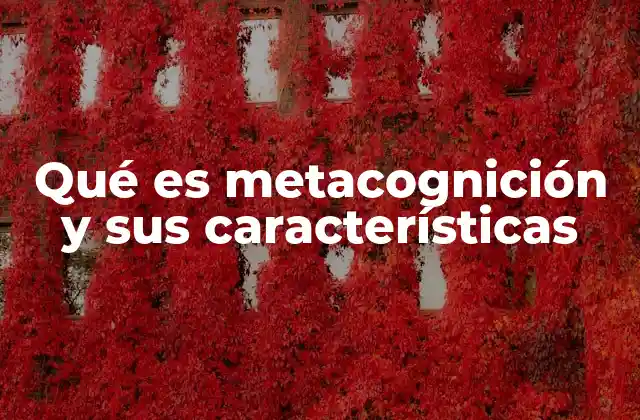 Qué es Metacognición y Sus Características