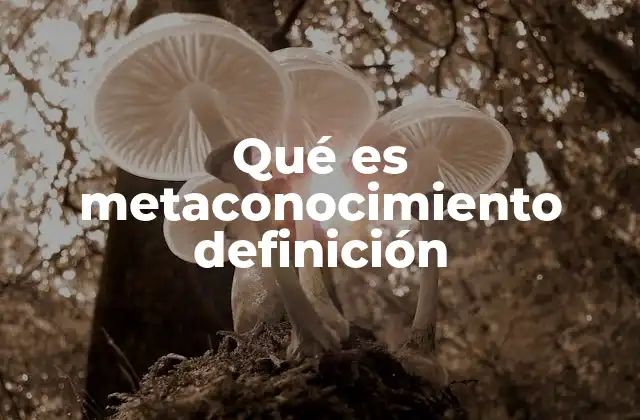 Qué es Metaconocimiento Definición