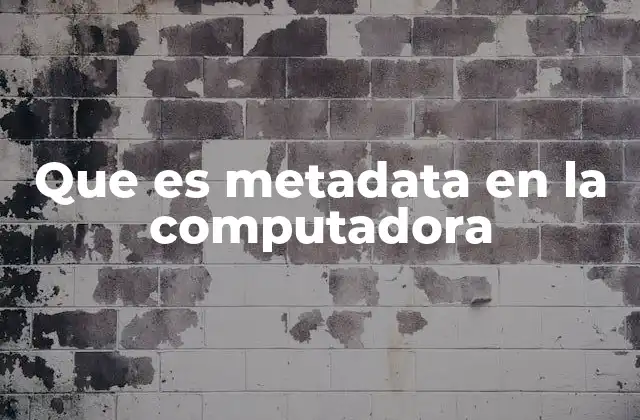 Que es Metadata en la Computadora