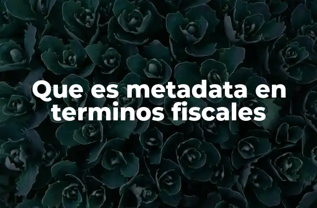 Que es Metadata en Terminos Fiscales 2 El papel del metadata en la gestión fiscal moderna