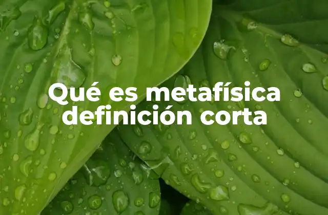 Qué es Metafísica Definición Corta