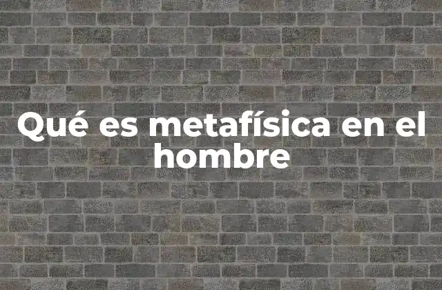 Qué es Metafísica en el Hombre
