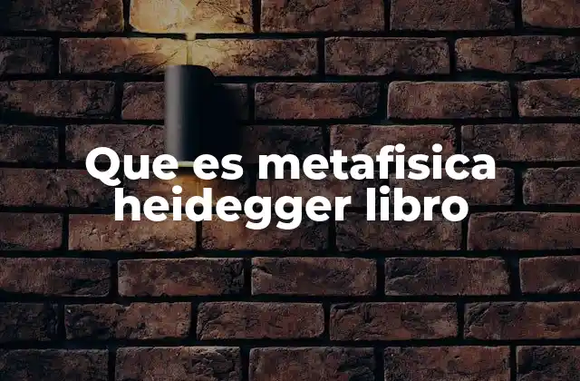 Que es Metafisica Heidegger Libro