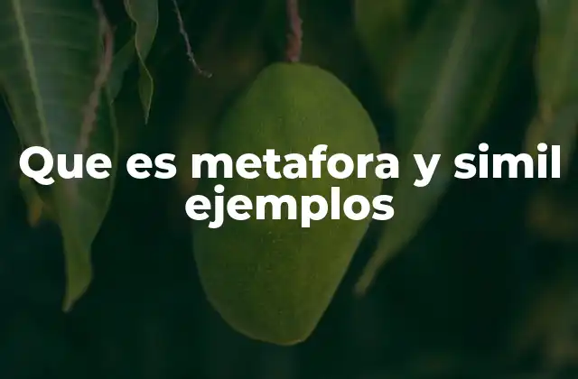 Que es Metafora y Simil Ejemplos
