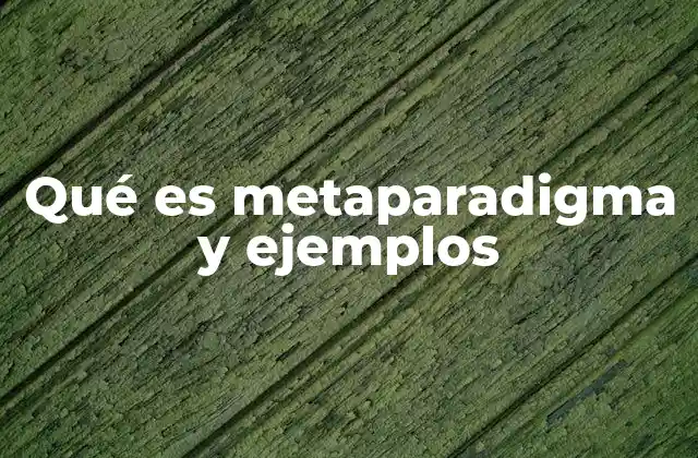 Qué es Metaparadigma y Ejemplos