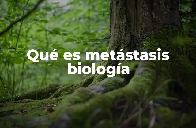 Qué es Metástasis Biología 2 El proceso biológico detrás del movimiento de células cancerosas