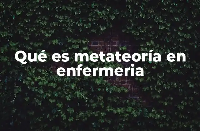 Qué es Metateoría en Enfermeria