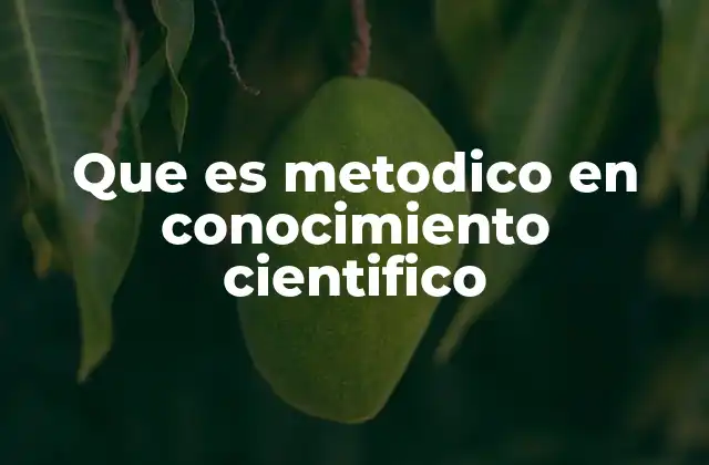 Que es Metodico en Conocimiento Cientifico