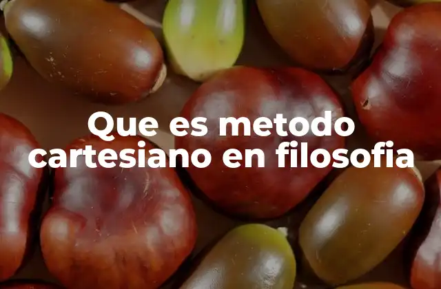 Que es Metodo Cartesiano en Filosofia