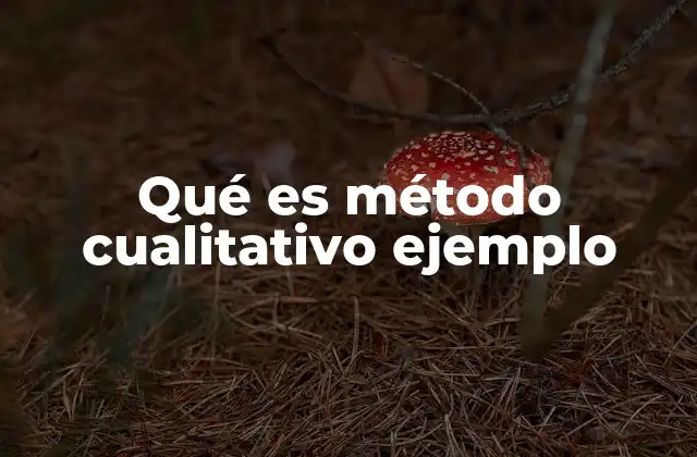 Qué es Método Cualitativo Ejemplo