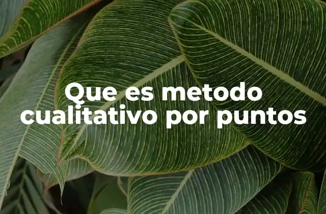 Que es Metodo Cualitativo por Puntos