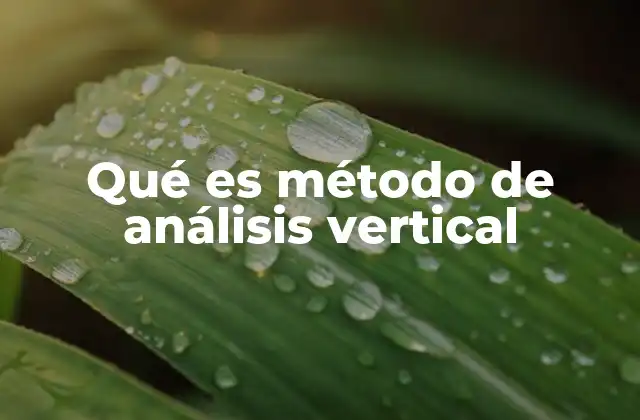 Qué es Método de Análisis Vertical