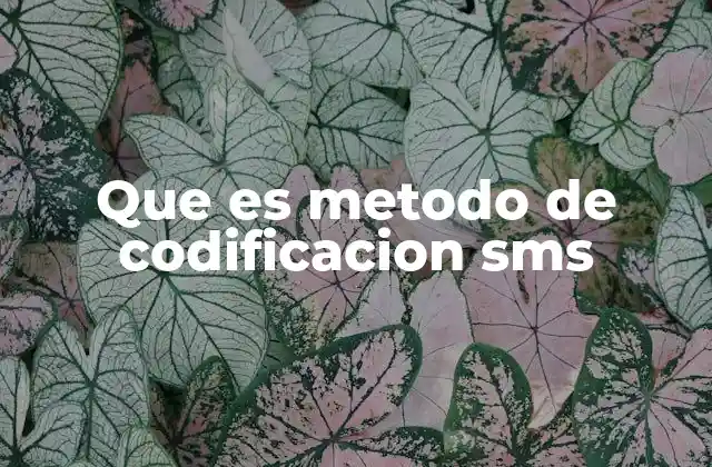 Que es Metodo de Codificacion Sms