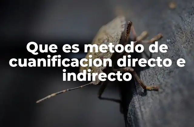 Que es Metodo de Cuanificacion Directo e Indirecto