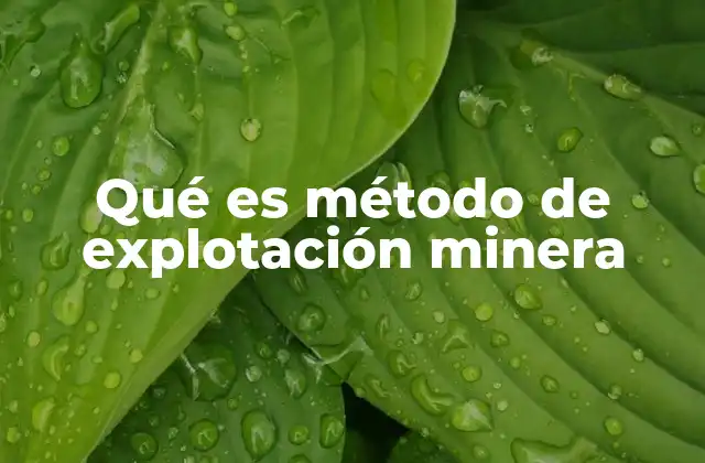 Qué es Método de Explotación Minera