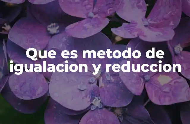 Que es Metodo de Igualacion y Reduccion