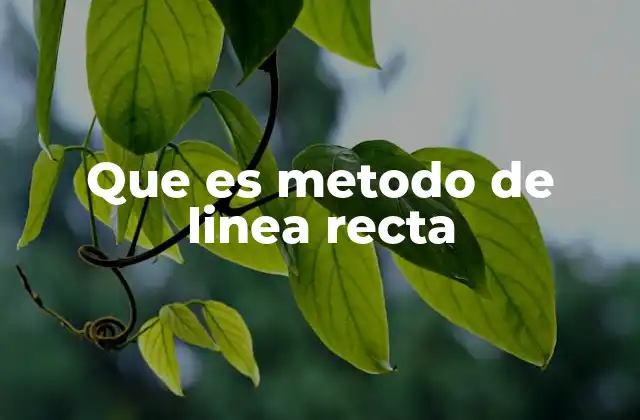 Que es Metodo de Linea Recta
