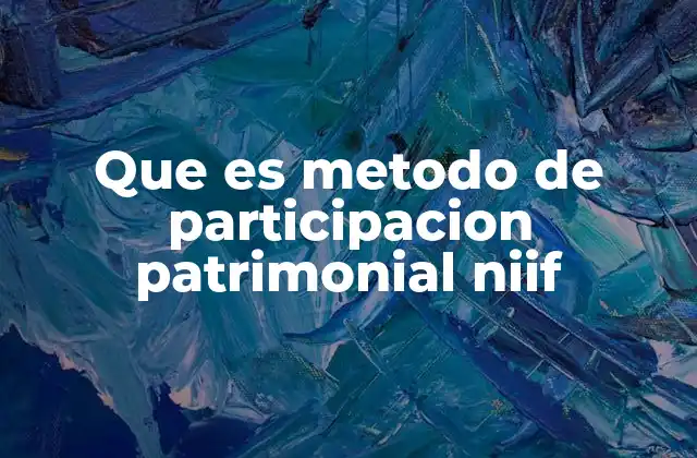 Que es Metodo de Participacion Patrimonial Niif