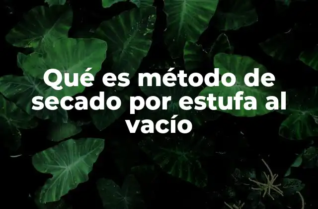 Qué es Método de Secado por Estufa Al Vacío