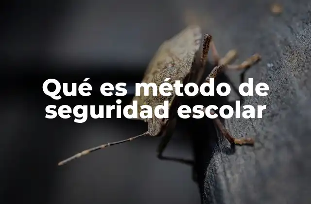 Qué es Método de Seguridad Escolar