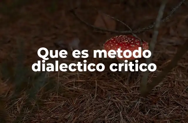 El enfoque dialéctico crítico en la comprensión de la sociedad