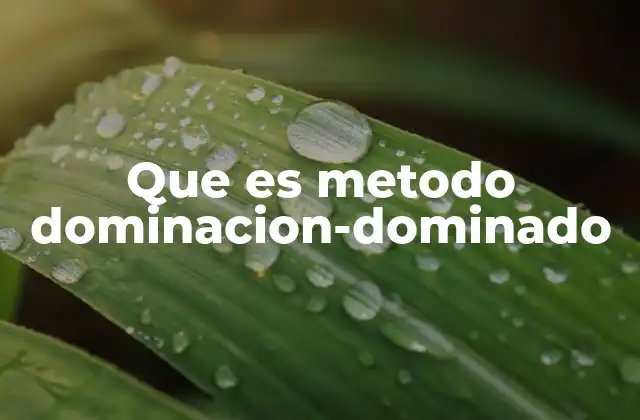 Que es Metodo Dominacion-dominado