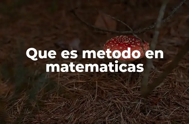 Que es Metodo en Matematicas