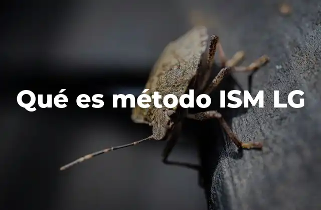 Qué es Método Ism Lg