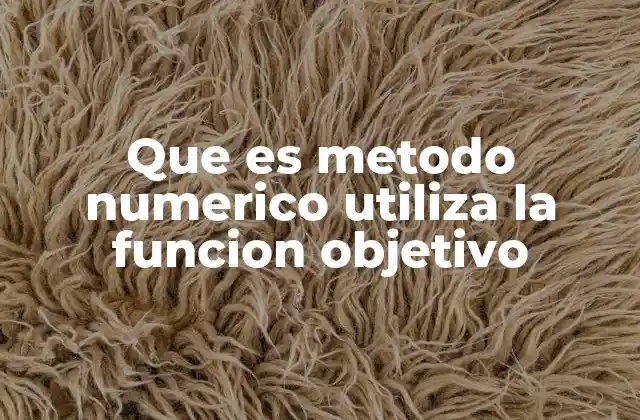 Que es Metodo Numerico Utiliza la Funcion Objetivo