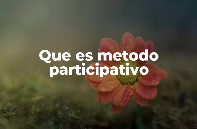 Características del enfoque participativo