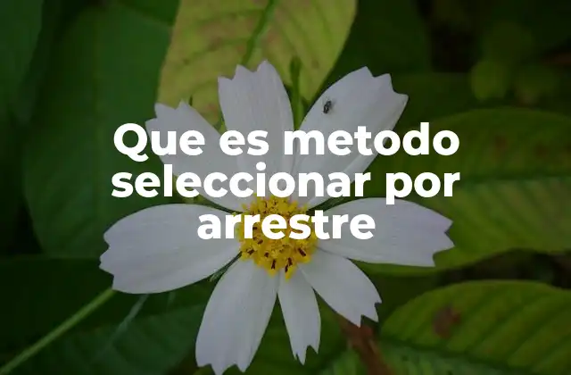 Que es Metodo Seleccionar por Arrestre