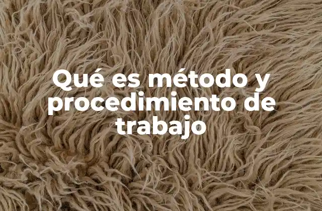 Qué es Método y Procedimiento de Trabajo