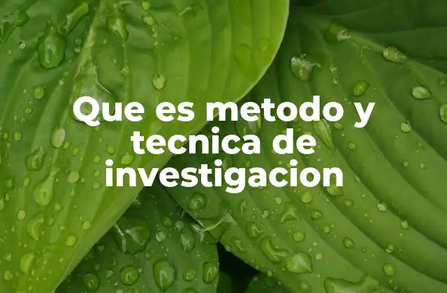 Que es Metodo y Tecnica de Investigacion