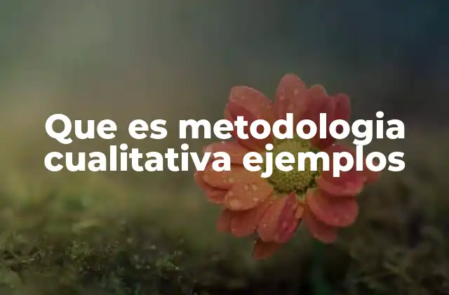 Que es Metodologia Cualitativa Ejemplos