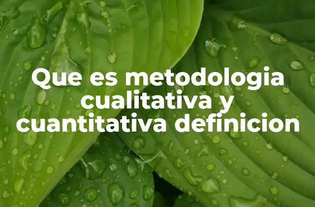 Que es Metodologia Cualitativa y Cuantitativa Definicion