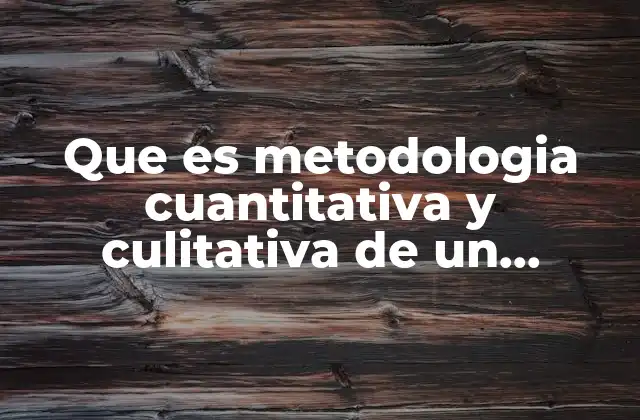 Que es Metodologia Cuantitativa y Culitativa de un Producto