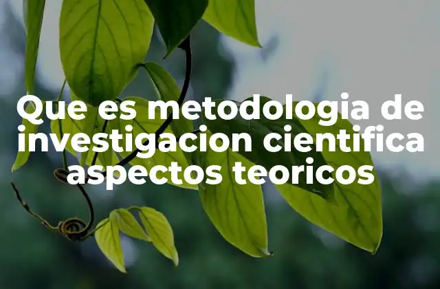 Los fundamentos teóricos que sustentan la investigación científica