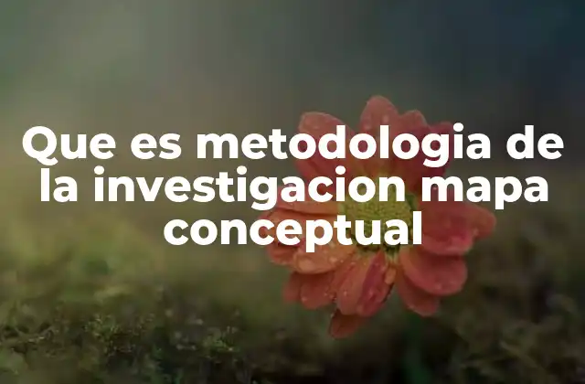 Que es Metodologia de la Investigacion Mapa Conceptual