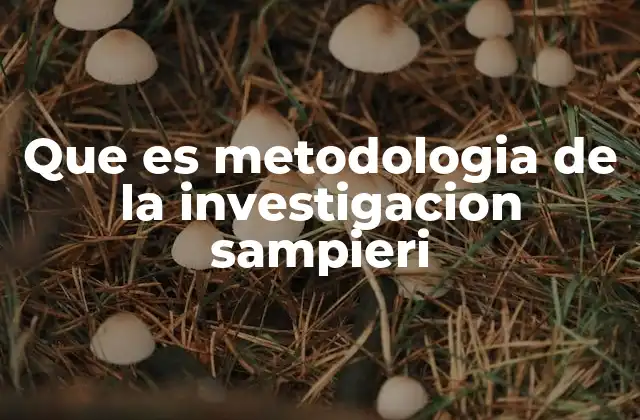 Que es Metodologia de la Investigacion Sampieri