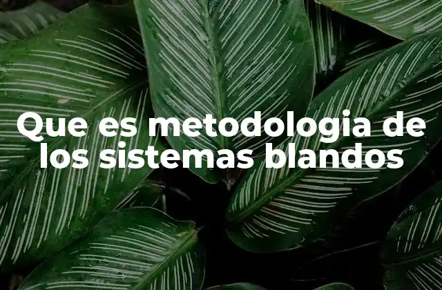 Que es Metodologia de los Sistemas Blandos