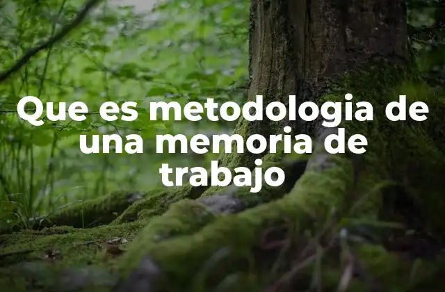 Que es Metodologia de una Memoria de Trabajo 2 Cómo se estructura el sistema de memoria de trabajo