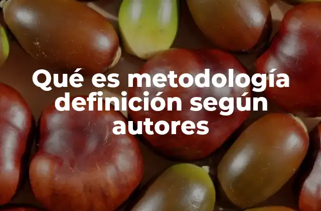 Qué es Metodología Definición según Autores