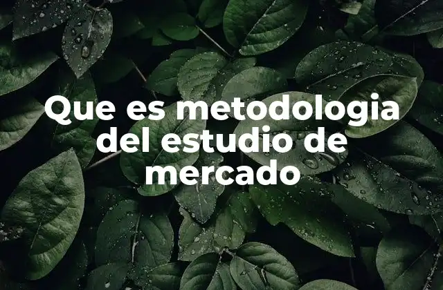 Que es Metodologia Del Estudio de Mercado
