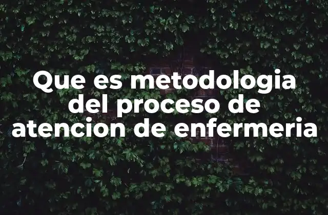 Que es Metodologia Del Proceso de Atencion de Enfermeria